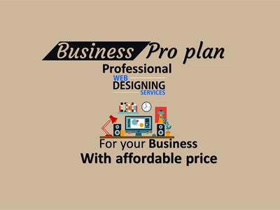 Image of Web Designing Business Pro Plan - 1